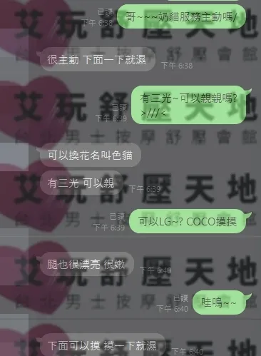 奶貓 評論照片 1