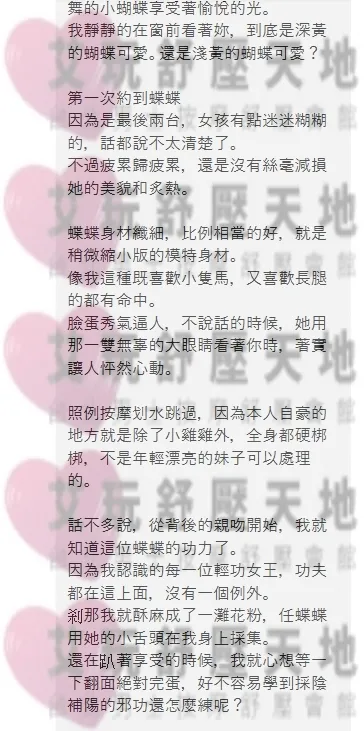 蝶蝶 (PT21~06) 評論照片 4